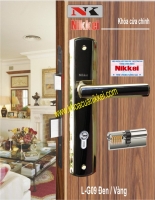 CỬA CHÍNH Nikkei L-G09 Đen Vàng