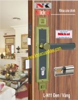 CỬA CHÍNH L-N11 Đen Vàng